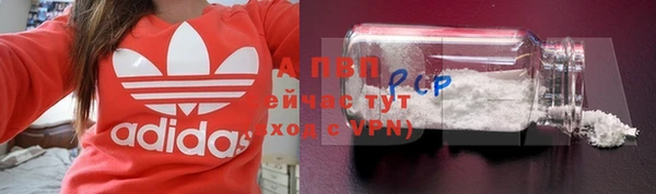 гидра Гусиноозёрск