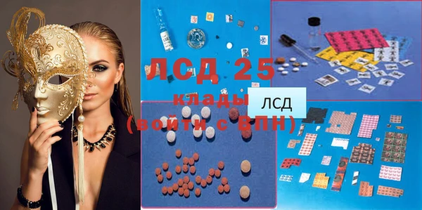 гидра Гусиноозёрск