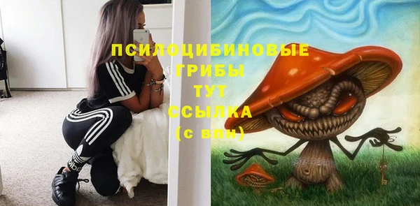 марки lsd Гусь-Хрустальный