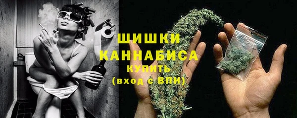 экстази Гусев