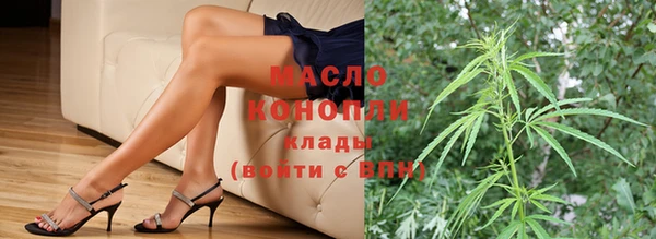 гидра Гусиноозёрск