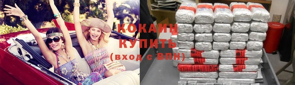 гидра Гусиноозёрск