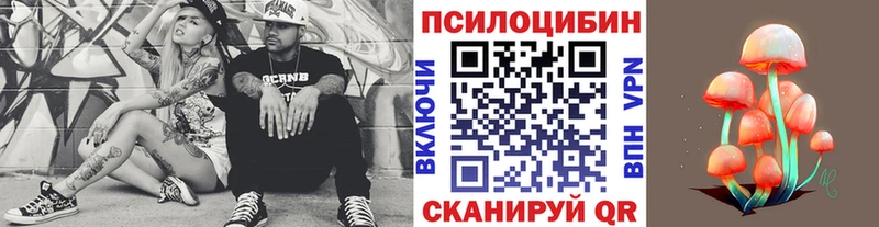 Купить закладки  Кушва  Галлюциногенные грибы GOLDEN TEACHER 